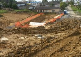 Howick Auckland Survey Engineering Works